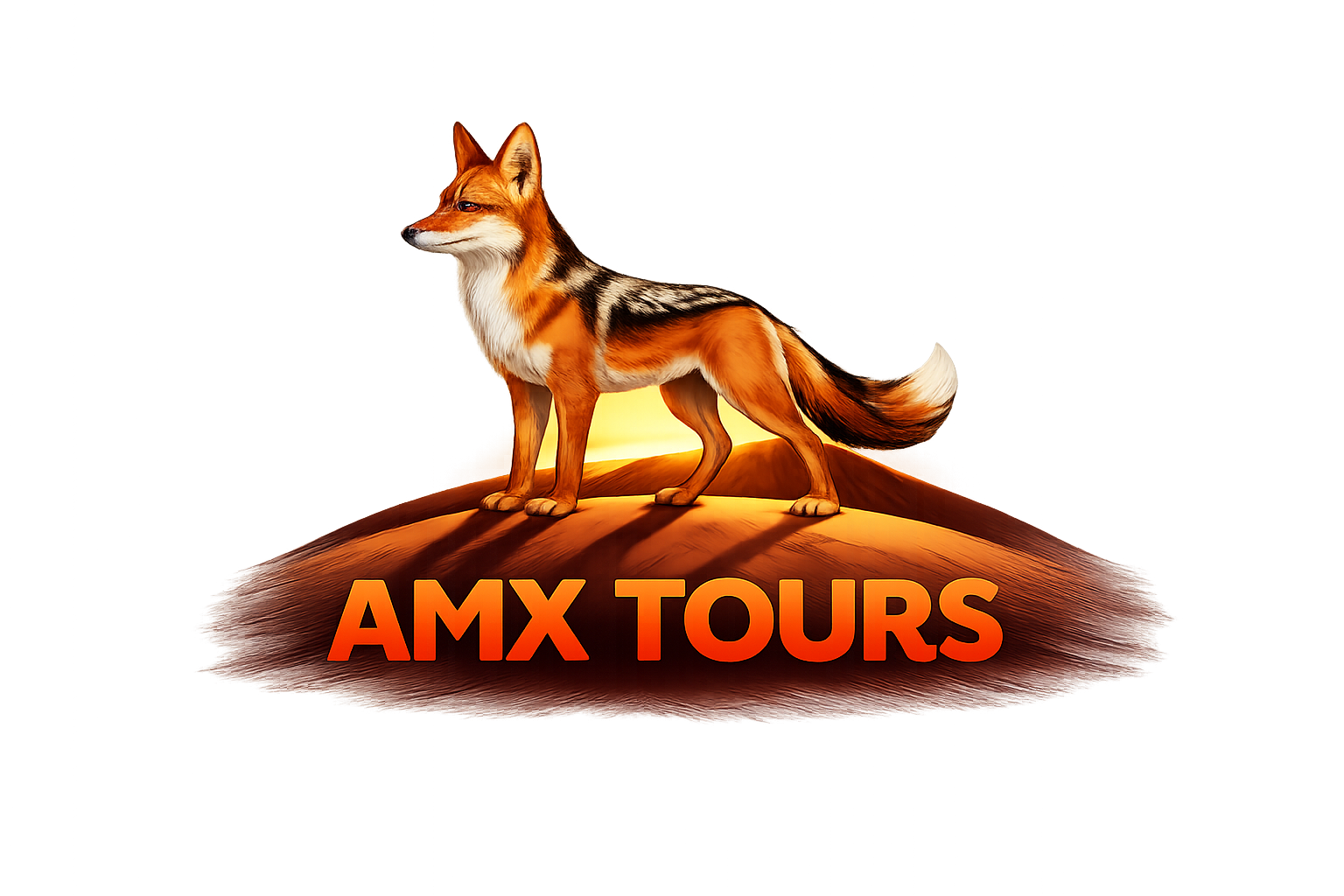 AMX Tours footer logo